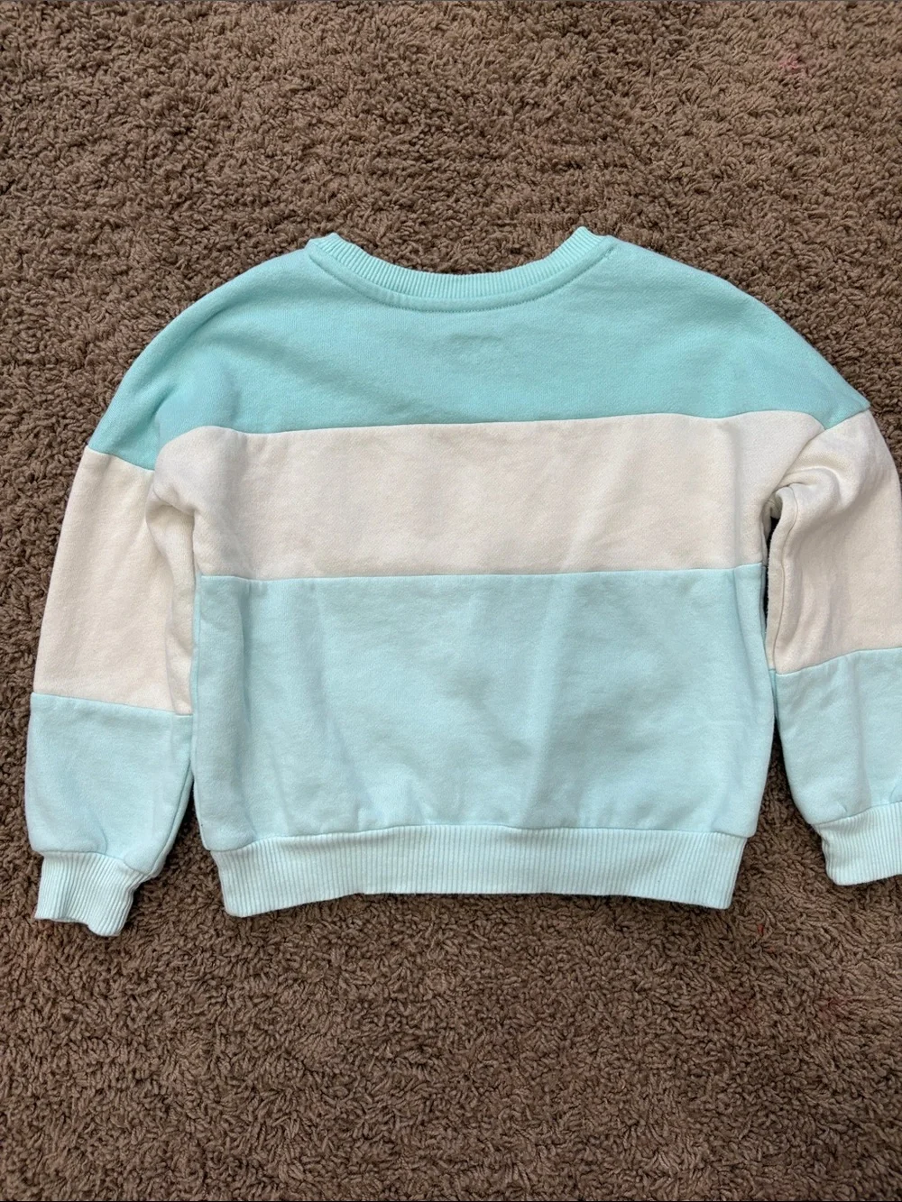 Disney Aqua & Cream Bluey Colorblock Kids Sweatshirt